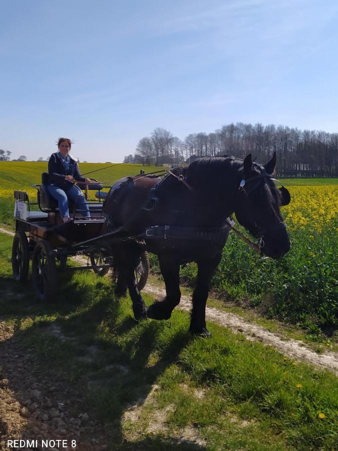 Veritable Roulotte Hippomobile "La Bailleul" Mentheville Bagian luar foto